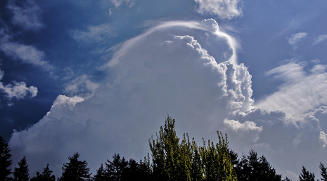 Cumulus congestus pileus 