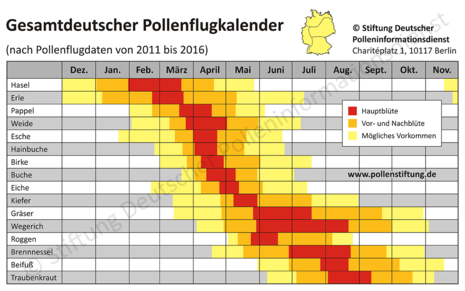 Zum Vergrößern bitte klicken