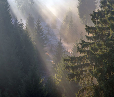 Blick in den Thüringer Wald