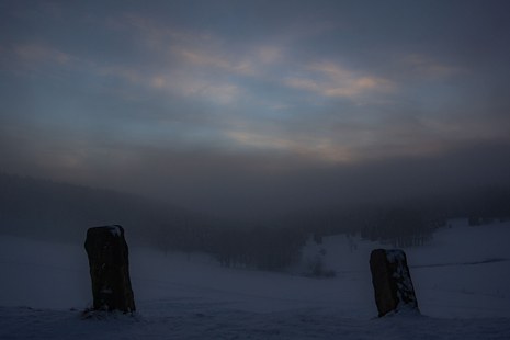 Nebel im Januar