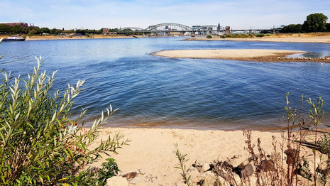 Rheinstrand bei Köln im August 2018 bei Niedrigwasser (Quelle Michael Musto via Wikimedia Commons)