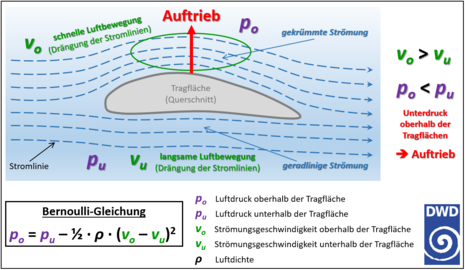 Schematische Darstellung des 