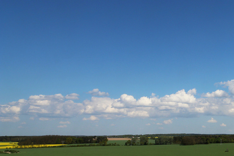 Blick über die Rapsfelder in Falkenberg 