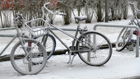 Schnee und Raureif im Januar 2024 in Hamburg 