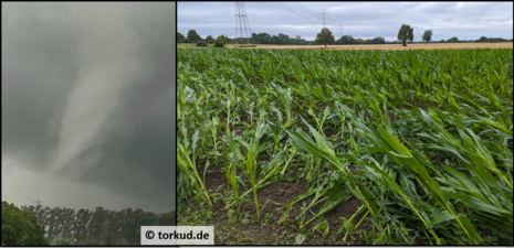 Auf den Fotos sieht man den gefilmten Tornado und ein Schadensbild mit plattgedrückten Maisfeldern. (Quelle www.torkud.de)