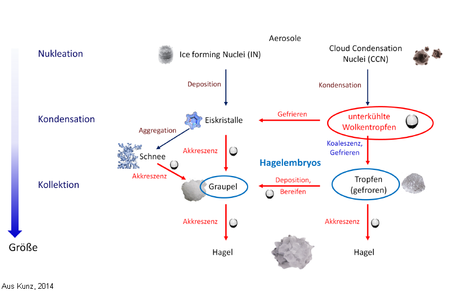 Schemenhafte Darstellung zur Entstehung von Hagelkörnern (Quelle Kunz, 2014)